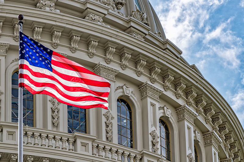 Capitol and flag