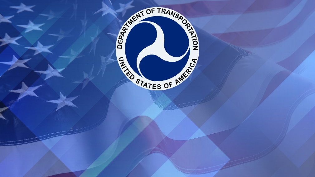 Transportation seal with flag
