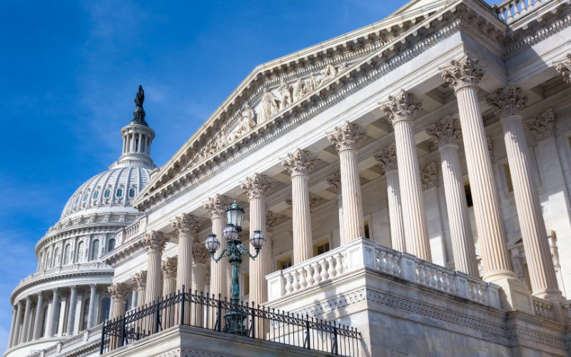 Senate web article